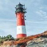 Profilbild von wibas